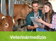 Veterinärmedizin