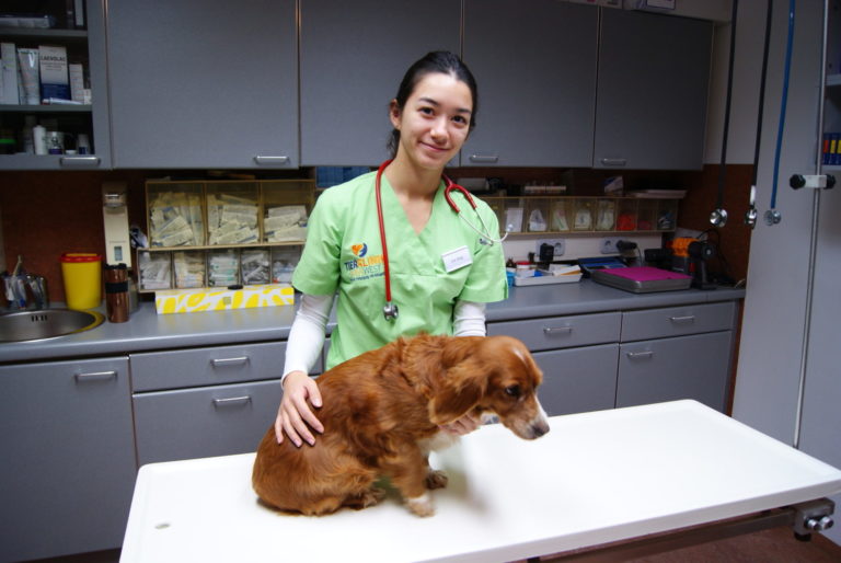 aufnahmeprüfung.at Tierärztliche Ordinationsassistentin mit Hund