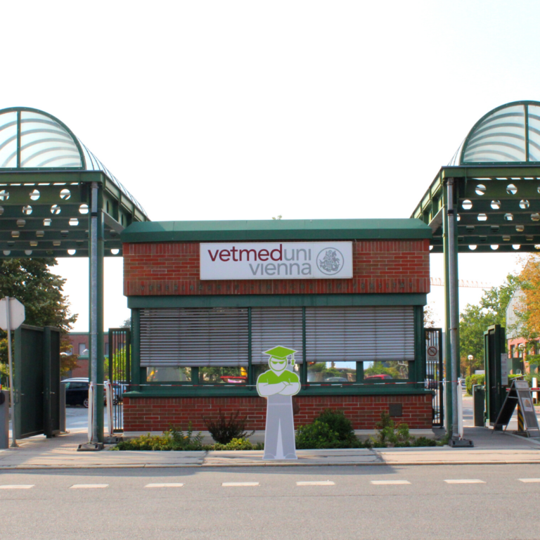 VetMed Uni
